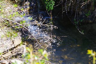 The stream feeding the Lake